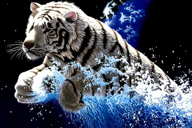 White Tiger Wallpapers 3D