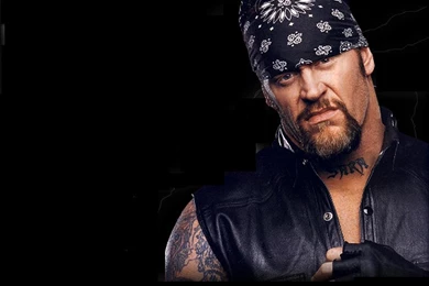 WWE Wallpapers 1024x768   Wallpapers Cave