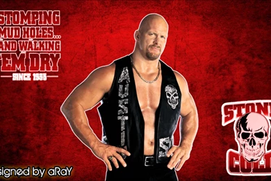 Wwe Stone Cold HD Wallpapers 22