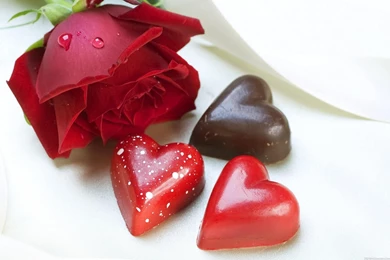 HD Free Images For Valentines Day   VALENTINES IMAGES