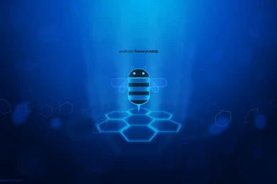 Download San Francisco 49Ers Wallpapers Android App