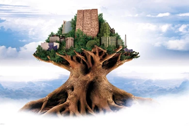 Quotes About Dreaming In A Tree House. QuotesGram