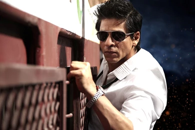 Shahrukh Khan Wallpapers
