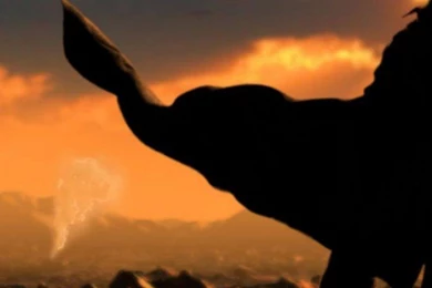 Image.php?src=http://img.hrhwalls.com/images/s35gpw2n4lf.jpg&h=1334&w=750