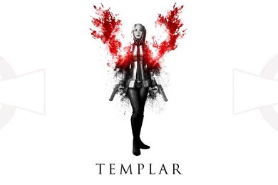 Templar Soldier White Wallpapers By Zyl3 On DeviantArt