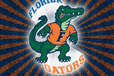 Florida Gators Sport Backgrounds For Your Android Phone Download Free