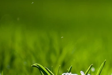 Top HD Wallpapers 1080×1920