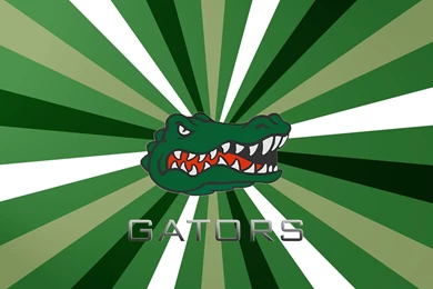 Florida Gators Wallpapers » WallDevil   Best Free HD Desktop And ...