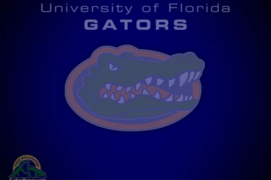 FREE GATOR WALLPAPER