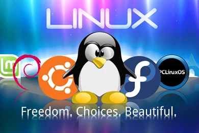 Freedom, Choices And Beautiful   Linux Wallpapers