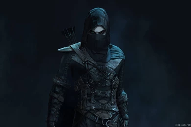 Thief 2014 Game HD Wallpapers   IHD Wallpapers