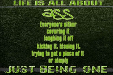 Funny Wallpapers At Wallpaperist