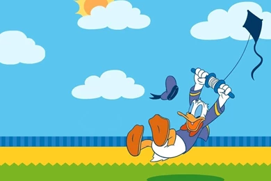 Kite & Donald Duck   Kites Wallpapers (17130045)   Fanpop