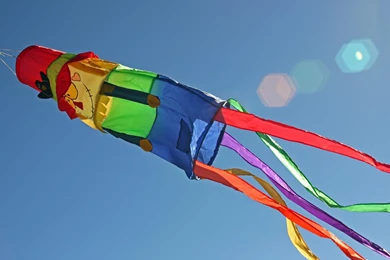 Beautiful Colorful Latest New Style Kites For Makar Sankranti ...