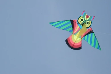 Kites HD Wallpapers   HD Wallpapers Inx