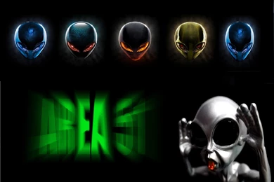 Alien Area 51 Wallpaper,space HD Wallpaper,funny HD Wallpaper,kool ...