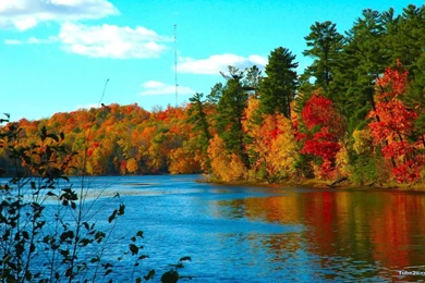 Wallpapers Of Nature Collection (45+)