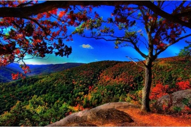 Amazing HD Nature Wallpapers   Android Apps On Google Play