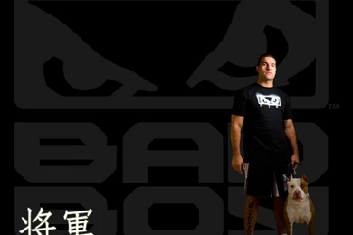 Mixed Martial Arts Wallpapers Wallpapers Cave