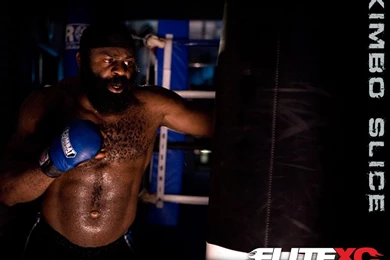 MMA : Desktop And Mobile Wallpapers : Wallippo