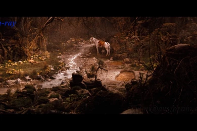 Die Unendliche Geschichte Aka The Neverending Story Comparison ...