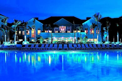 Jamaica State Bird Wallpapers Free Hd