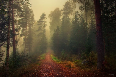 Neverending Story By M eralp On DeviantArt