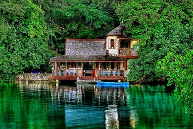 Jamaica State Bird Wallpapers Free Hd