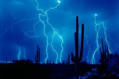 Lightning wallpapers live wallpaper computer desktop 800x600.jpg