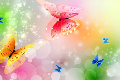 HD Animated Colorful Butterfly Wallpapers 1080p   HiReWallpapers 6821