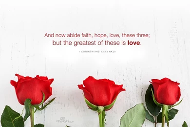 Beautiful February Desktop & Mobile Wallpapers   Free Backgrounds