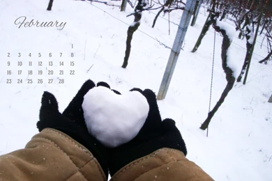 Free February Destop Backgrounds