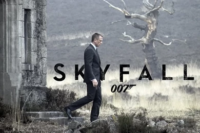 Hot James Bond   Skyfall Wallpapers   Movie Wallpapers Free HD ...