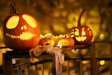 Halloween Wallpapers HD