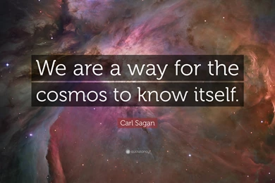 Carl Sagan Quote: “We Are A Way For The Cosmos To Know Itself.” (8 ...