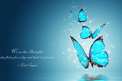 Carl Sagan Quote Computer Wallpapers, Desktop Backgrounds ...