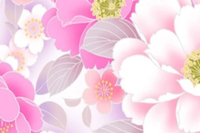 PINK FLORAL, IPHONE WALLPAPER BACKGROUND