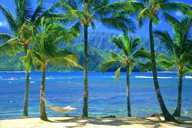 Free HQ An Empty Hammock Kauai Hawaii Wallpapers   Free HQ Wallpapers