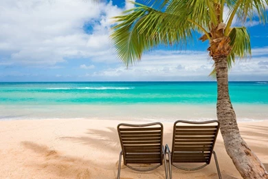 Hawaii Beach Hd Wallpapers 9375 : Wallpapers13.com