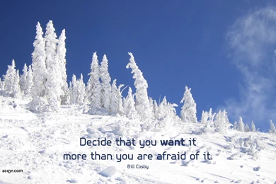 Free Winter Desktop Wallpapers Download   1