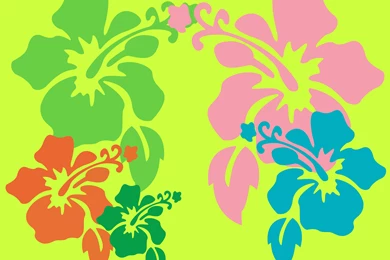 Hawaiian Background Images   Wallpapers Zone