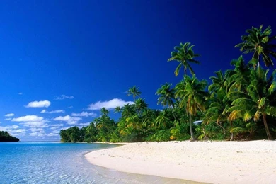 Wallpapers Hawaii Wallpapers HD2475 With Hawaii Wallpapers HD2475 ...