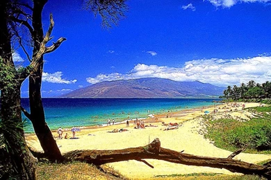 Hawaii Beach Wallpapers Hd Free