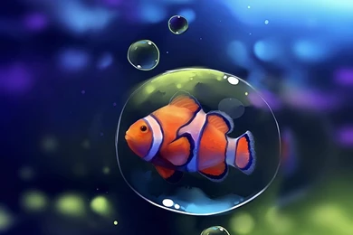 Clownfish Wallpapers   Wallpapers Cave