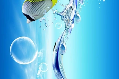 3D Clownfish iPhone 6 Wallpapers Download