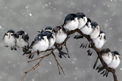 Red Tumblr Desktop Backgrounds Wallpapers : Abstract Wallpapers ...