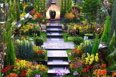 Free Wallpapers   Free Flower Wallpapers   Flowers In Greenhouse ...