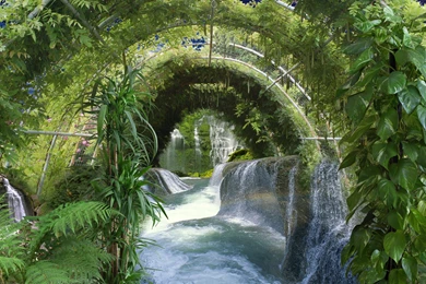 Greenhouse Waterfall Plants Wallpapers