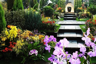 Free Wallpapers   Free Flower Wallpapers   Flowers In Greenhouse ...