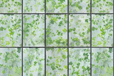 NLXL Lab Editions Greenhouse Wallpapers By Erik Gutter